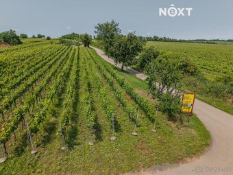 Prodej pozemek Sady/vinice, 2318㎡ - 3