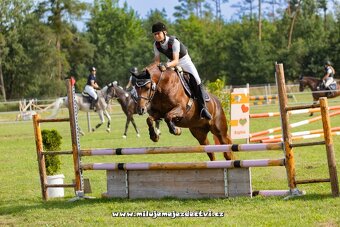 Prodej pony klisny - 3