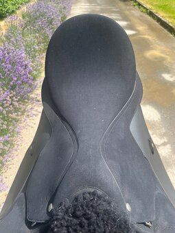 SEDLO WINTEC 2000 AP High Wither - 3