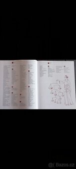 Kniha Velký domácí právník - 3