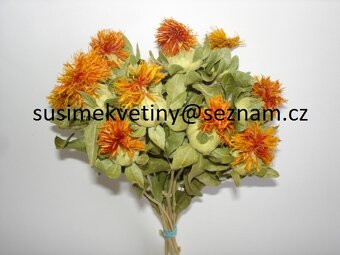 Sušené květiny po celý rok - 3