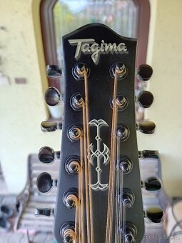 12-ti strunná elektroakustická kytara - 3