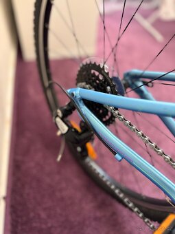 Beany Zero 24” - 3