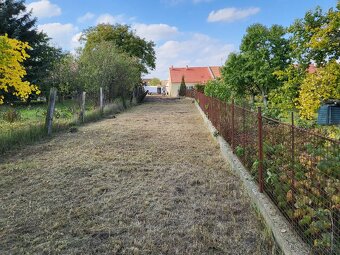 Stavební pozemek s vinným sklepem na Jižní Moravě - 3