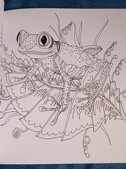 Omalovánky pro dospělé Exotický prales - 3