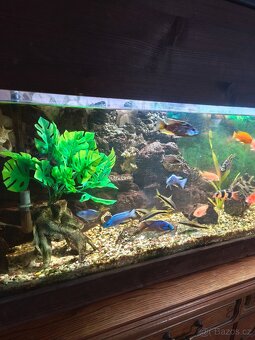 Akvárium velké - 3