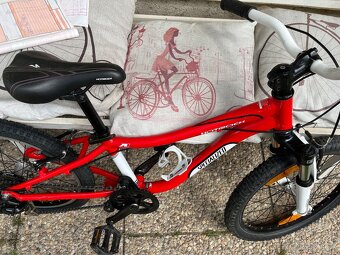 Specialized 20” - 3