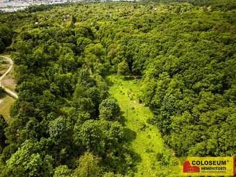 Brno - Sadová, orná půda - 2613 m2 - pozemek, ev.č. E370L015 - 3