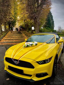 Mustang Ford Cabrio - 3