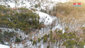 Prodej lesa, 845 m², Mírová pod Kozákovem - 3