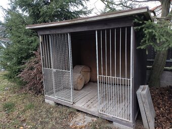 Kotec pro psa 2x2,5m - 3