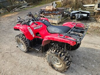 Yamaha Grizzly - 3