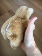 Anne Geddes Bear - 3