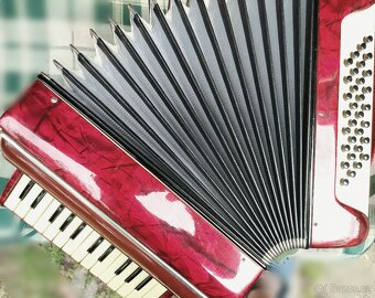 Harmonika Akordeon Lignatone - 3