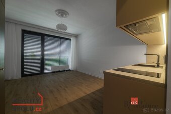Pronájem, byty/1+kk, 34 m2, U Borského parku 3060/18, Jižní - 3