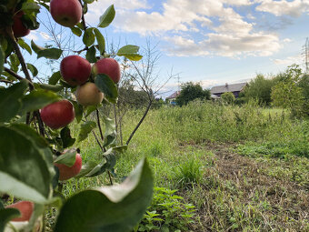 Pozemek pro rodinnou rekreaci - 3