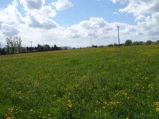 Prodej komerčního pozemku až 38 000 m² v Turnově - 3