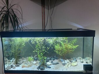 Akvárium 180 l - 3