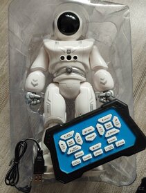 Smart robot ROBIN (30cm) - 3