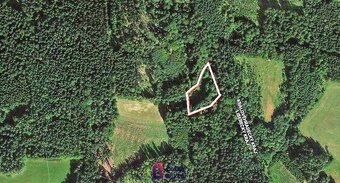 Prodej pozemky - trvalý travní porost, 3 946 m2 - Levínská O - 3