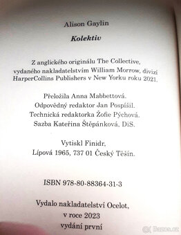 Kolektiv - Alison Gaylin - 3