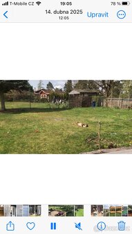 Prodám pozemek - 3