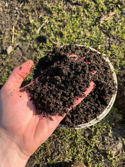 Vermikompost - 5L - 3