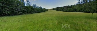 Prodej louky v Horní Rokytnici nad Jizerou - 3