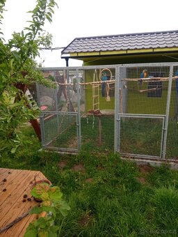 Voliéry zákazková výroba - 3