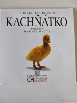 Kachňátko – podívej jak rostou, naučná knížka pro děti - 3