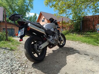 Honda Hornet cb900 - 3