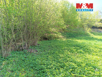 Prodej pozemku, 2141 m², Rychnov nad Kněžnou - 3