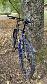 Prodám horské kolo Ravo Extreme - 3