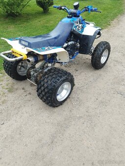 Yamaha Warrior 350 - 3