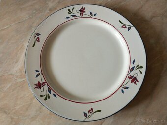 Talíře Delvita - 3