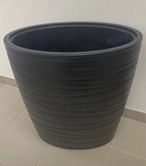 Xxl benjamin vcetne kvetinace - 3