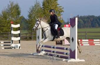 Pony do sportu pro šikovného juniora - 3