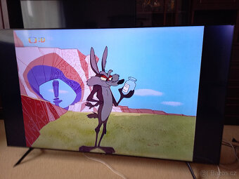 Velká Smart 165 cm - 3