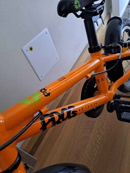 Frog 14 - 3