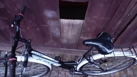 Dámské kolo K-race - 3