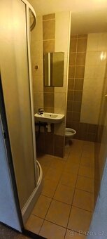 pronájem Sokolov, Spartakiadní,1+1 - 3