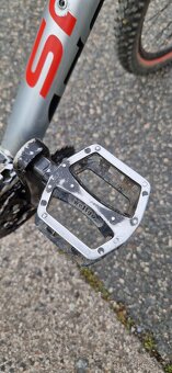 MTB Focus – Fat Boy 2013 - 3