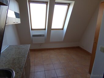 Pronájem bytu 1+1, Podnásepní, 50m2 - 3