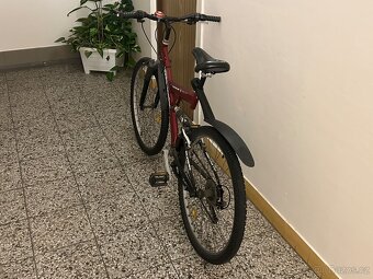 Olpran crazy line 26” celopéro - 3