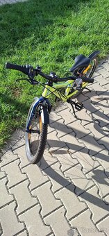 Author Record 20" - 3