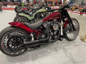 Harley Davidson Custom Breakaut - 3