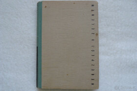 Klasické detektívky 2 (SAMOSTATNÉ ROMÁNY) - 3