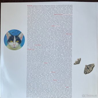 Airbrusher – Dirndl To Go vinyl limit nový - 3