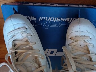 Krasobrusle Risport Electra 230 - 3