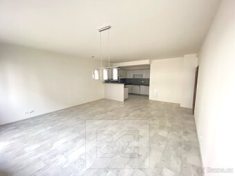 Pronájem bytu 3+kk/2xB/PS, Praha 10 - ul.Kryšpínova - 3